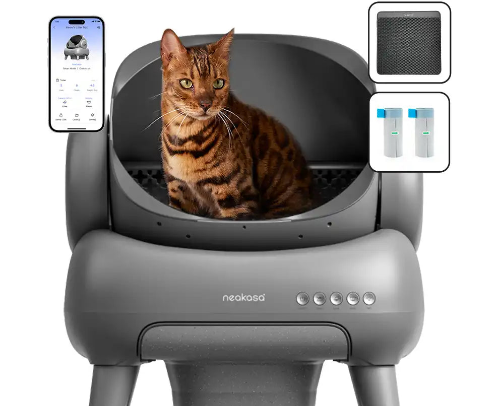 Cat Essentials cover photo collage