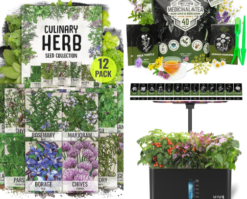 Growing Your Own Medicinal Herbs at home cover photo collage