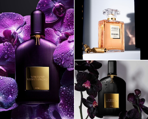 Head Turning Perfumes cover photo collage