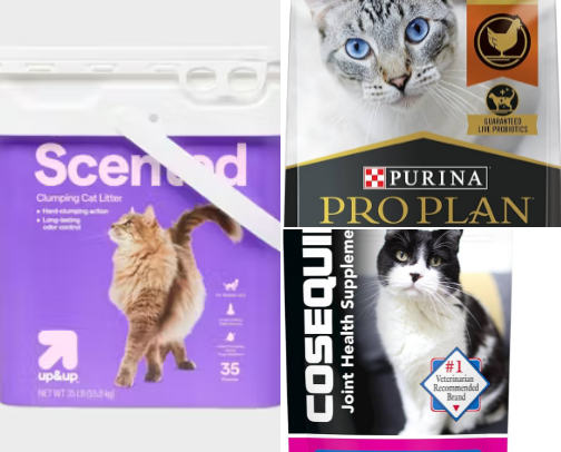 it’s raining cats & dogs - essential pet supplies cover photo collage