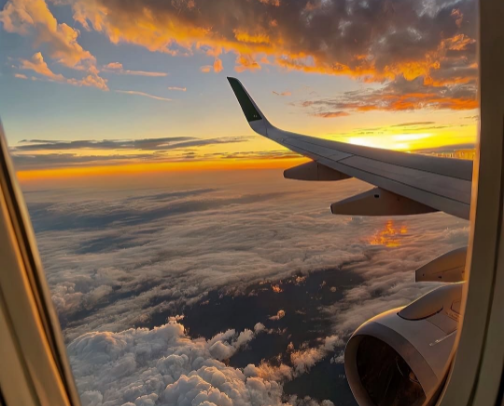 Best Travel by far! cover photo collage