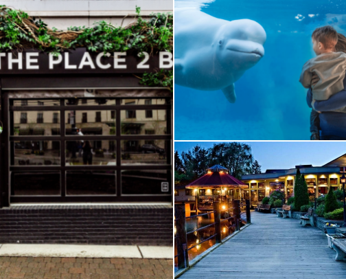 Things to do in Connecticut cover photo collage