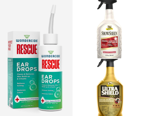 Must haves for pet parents cover photo collage