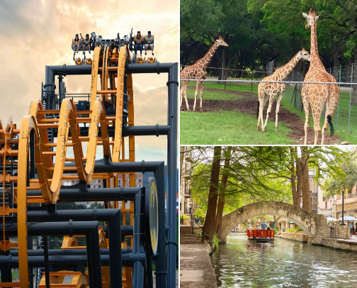 My top San Antonio recs cover photo collage