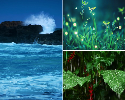 Soothing Soundscapes & Frequencies for Relaxation cover photo collage