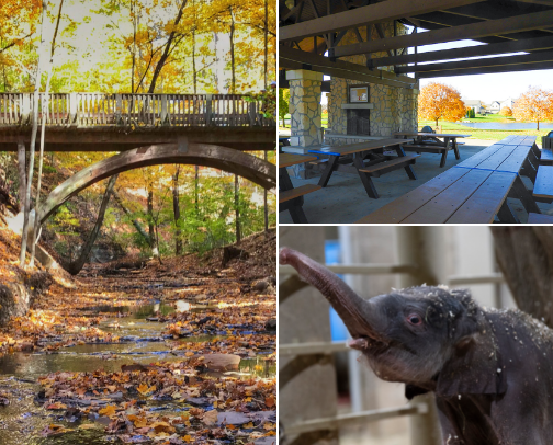 Things we love to do during the week as SAHM to 2 boys in Central Ohio (Columbus area) cover photo collage