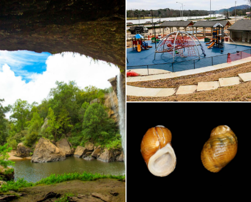 Explore Gadsden: Must-Do Spots & Hidden Gems cover photo collage