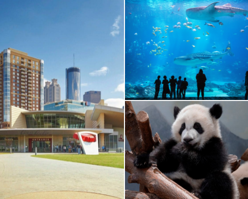 Kid-Friendly Atlanta cover photo collage