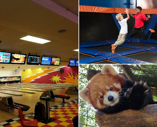 Day Out Ideas in Vestal cover photo collage