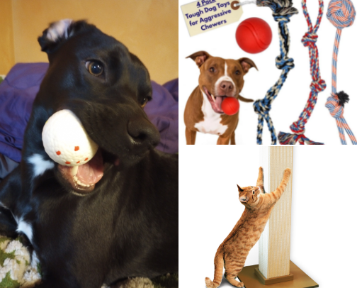 Pet products I use for my dog and cat furbabies cover photo collage