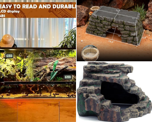 🦎 10 Bearded Dragon Accessories New Owners Need Now cover photo collage