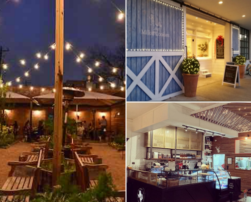 My favorite restaurants in HTX this fall! cover photo collage