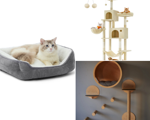 Cat's essentials😻 cover photo collage