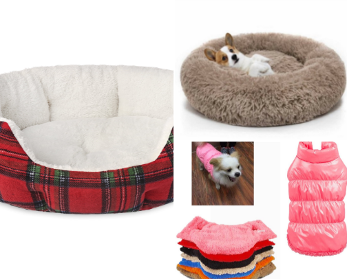 Trending Pet Products: The Best Items for Dogs & Cats cover photo collage