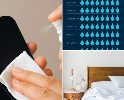 Skin Care Routine cover photo collage