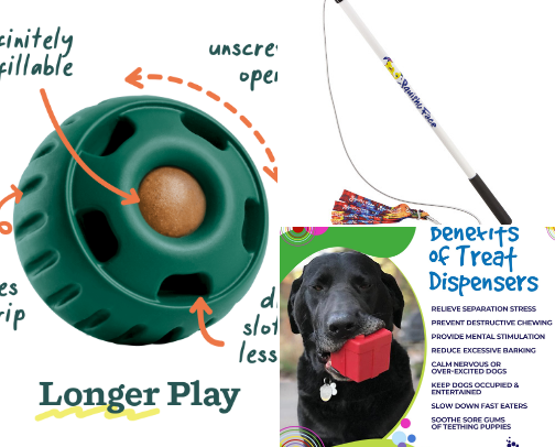 Must Have Dog Necessities cover photo collage