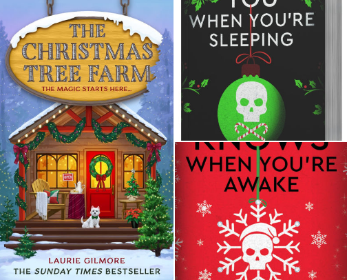 Your Christmas Reading List🎄 cover photo collage