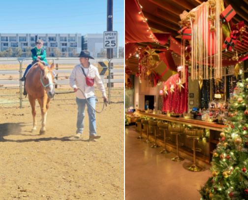 Places to visit in Las Vegas cover photo collage