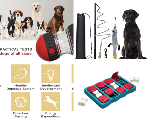 Best Toys & products for High Energy Dogs cover photo collage