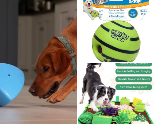 High Energy Dog Must Haves cover photo collage