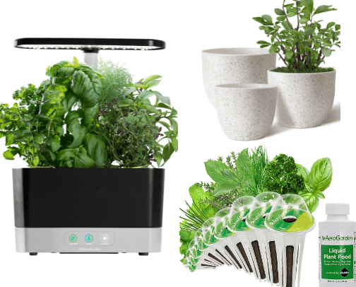 Green Living in Style: Custom Essentials That Truly Reflect Your Love for Plants and Gardens Indoors cover photo collage