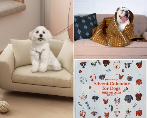 Doggy stuff for my precious granddog (who looks just like the dog in my first recommendation!) because she’s cute and I love her! cover photo collage