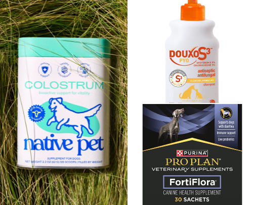 products that saved our life during puppy strangles treatment and recovery 🫶🏼 cover photo collage