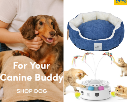 🐶🐱Pet Care Favorites cover photo collage