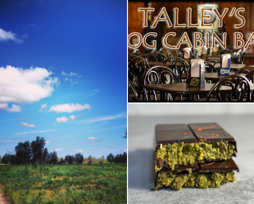 Pure Michigan ✋🏼 cover photo collage