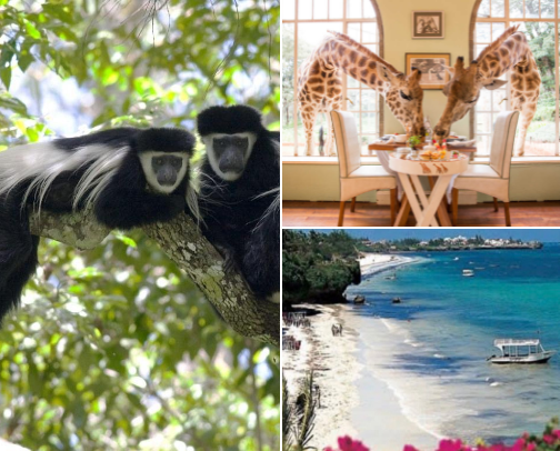 Places to visit in kenya cover photo collage