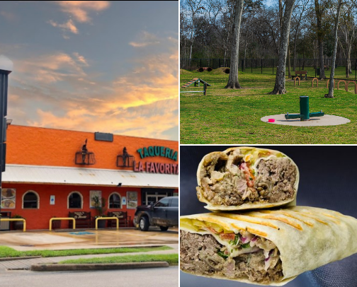 Houston Favorites (Actually Worth Leaving the House For) cover photo collage