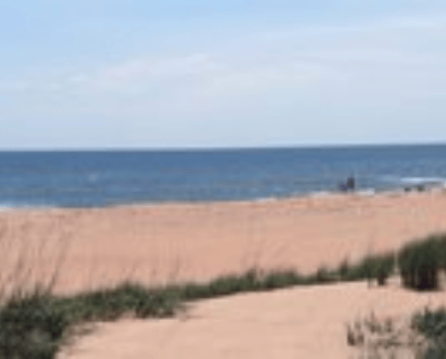 Come Visit Virginia Beach Without Breaking The Bank cover photo collage