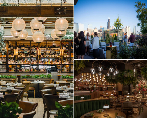 my top chicago restaurant recs cover photo collage