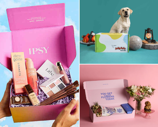 Top 25 Monthly Subscriptions That Are 100% Worth the Money in 2025 cover photo collage