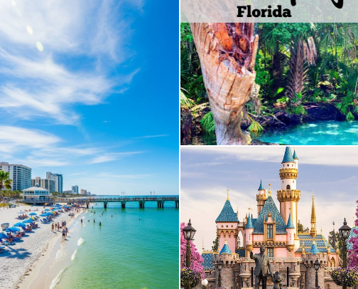 Fun Without the Overwhelm cover photo collage