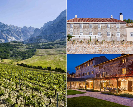 Croatian Wine & Olive Oil Picks cover photo collage