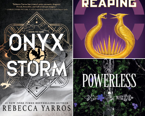 Book Recs📖✨ cover photo collage