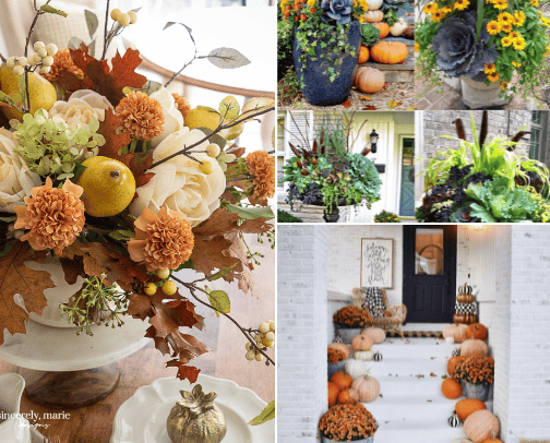 Fall Things cover photo collage