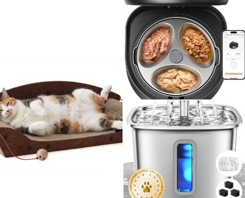 Ultimate Summer Cat Care Checklist: Cooling, Hydration, Hygiene, Entertainment & Travel cover photo collage