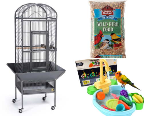 For the Birds… cover photo collage