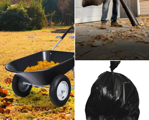 Jump into fall cover photo collage