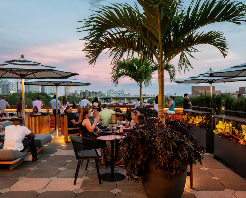 Bars in Tampa that make the drink worth it cover photo collage