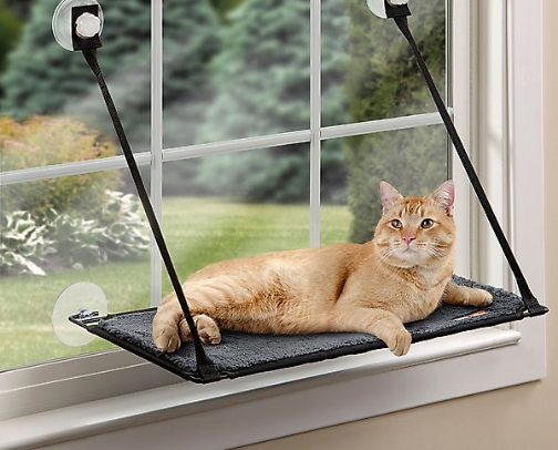 Purrrfect Cat Items cover photo collage