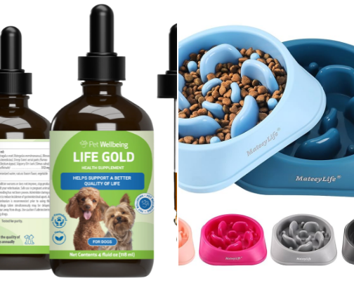 We love our pets! cover photo collage