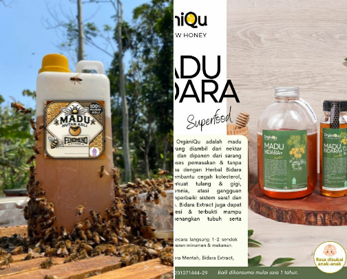 Favorite Healthy Drink Recommendations for Families cover photo collage