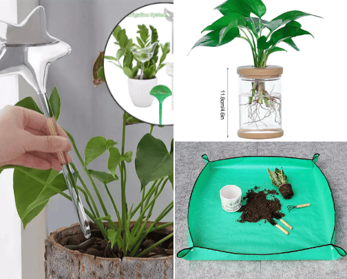 Products for plants and flowers🪴 cover photo collage
