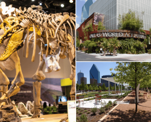 Dallas must do's cover photo collage