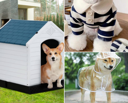 ✨ Our pets deserve the best! 🐶🐱🍀🥰

Because they bring us so much love and joy, they deserve comfort, care, and all the little things that make their tails wag and hearts happy! ❤️ cover photo collage