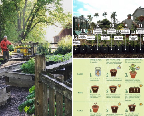 Gardening 2026 cover photo collage