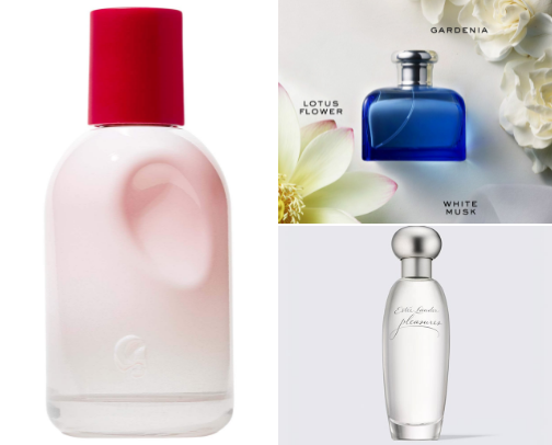 Fragrances That Will Get You Compliments ✨ cover photo collage